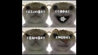 哈基米歌曲选集 #哈基米 #はちみー  #hachimi  #舌尖上的中國