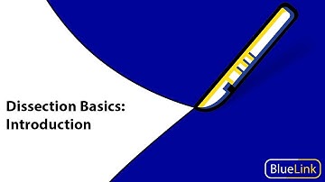Dissection Basics | Introduction