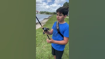 Thumbnail of NEW Cuardo Dc Reel Review !!