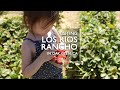 Los rios rancho with kids montage