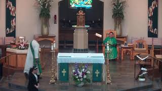 Decimoquinto Domingo del Tiempo Ordinario, 12:00 pm, 12 de julio de 2026 - Iglesia de San José