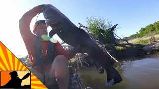 High Noon Flathead Comes Out From The Wood | Kayak Catfishing