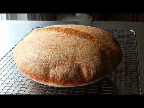 sourdough-bread---part-1:-the-starter