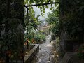 ⛈️ Rainfall in Village | Natural Rain | Rural Life 4K    #countryside #natureambience #naturesounds