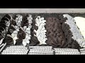 How to make Chocolate garnice fancy chocolate making by New Cake Wala