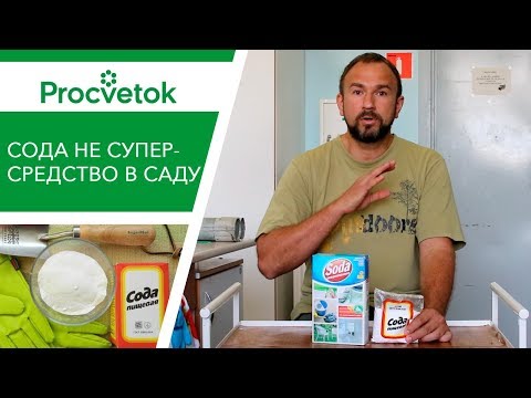 Вопрос: Помогает ли пищевая сода против муравьёв в саду, огороде, дома?