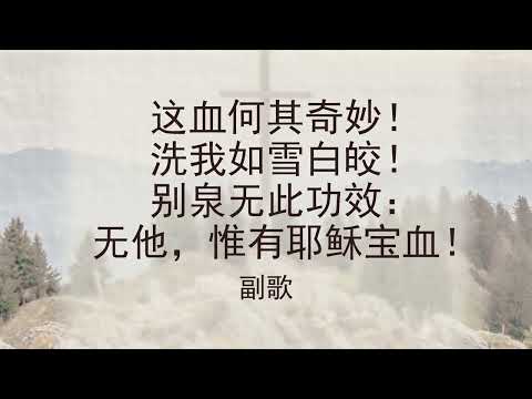 选本诗歌 第395首 何能洗去我污点？