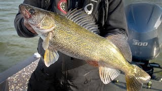 South Dakota Walleye Fishing  InDepth Outdoors TV, Season 13 Episode 24
