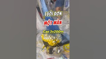 Lưới 1 Màn . Cao 3x200m 12cm / Cước 40 . #luoidanhcaadau
