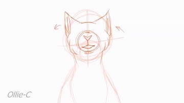 Animation WIP - Mowgli