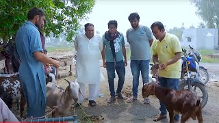 hameed sahab and pagal sahab| Rana Ijaz Official #ranaijazfunnyvideo