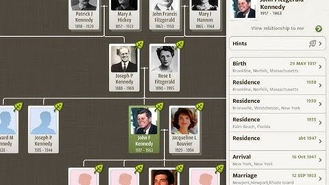 Top Dictionary Apps for iPad