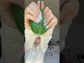 Green! #foryou #viral #funny #relatable #squishy