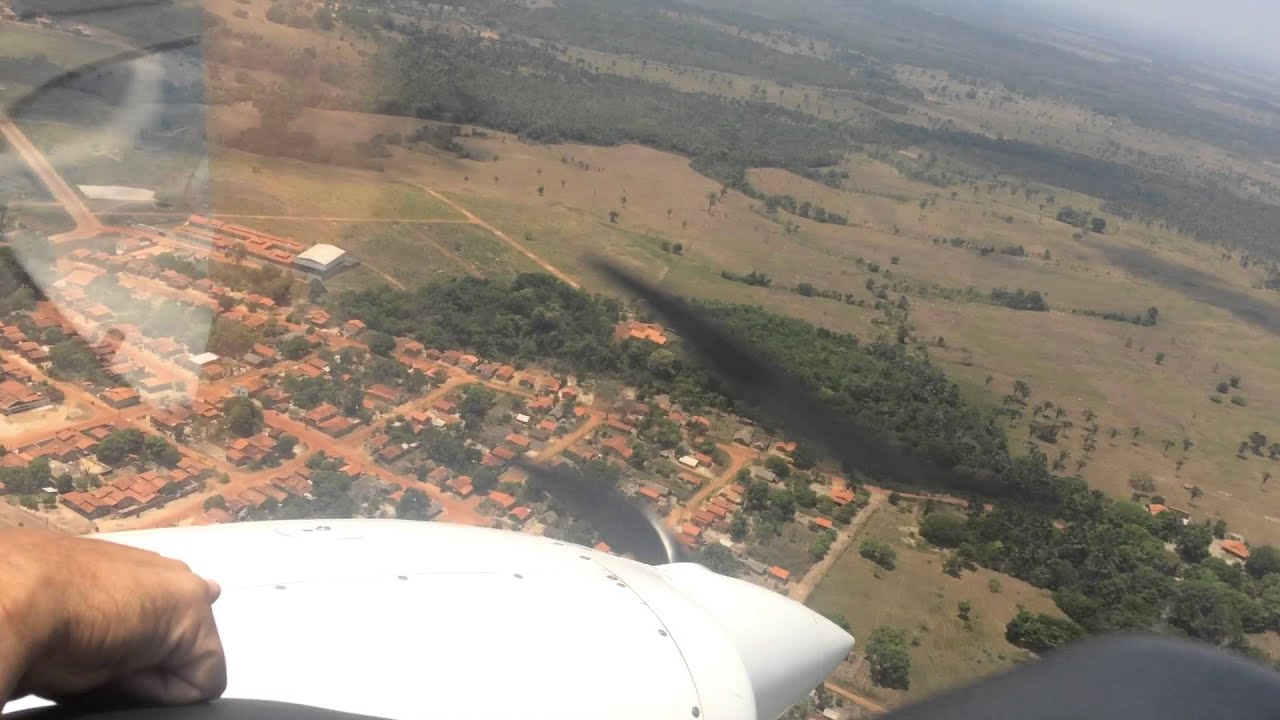 Ananás Tocantins fonte: i.ytimg.com