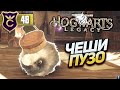 ПОЧЕСАЛИ ПУЗО ПУШИШКЕ! Hogwarts Legacy #48