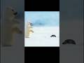 villant and inocente #contaminación #animales #animals #deforestation #peligro
