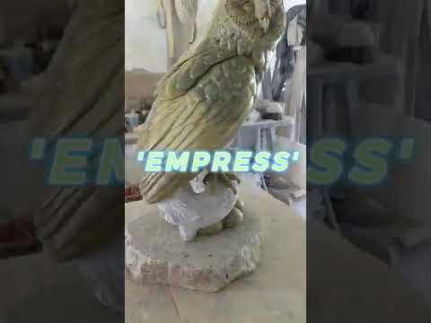 Owl Emerges From