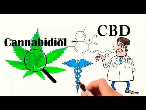 Benefits of CBD Oil for Your Health