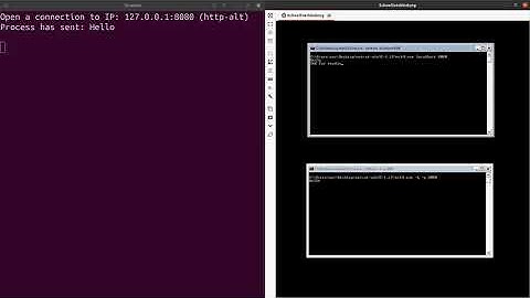 TCP/IP Connection Sniffer via Tycho Virtual Machine Introspection Demo
