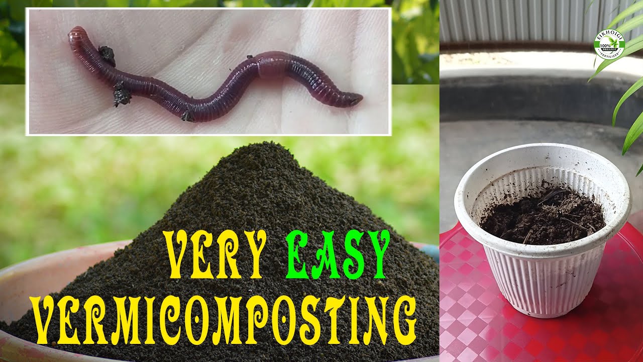 🌳 🥀🥀 𝗩𝗲𝗿𝗺𝗶𝗰𝗼𝗺𝗽𝗼𝘀𝘁𝗶𝗻𝗴 𝗶𝘀 𝘃𝗲𝗿𝘆 𝗘𝗔𝗦𝗬 || 𝗠𝗔𝗡𝗜𝗣𝗨𝗥 𝗩𝗘𝗥𝗠𝗜𝗖𝗢𝗠𝗣𝗢𝗦𝗧 🕊️🕊️🕊️