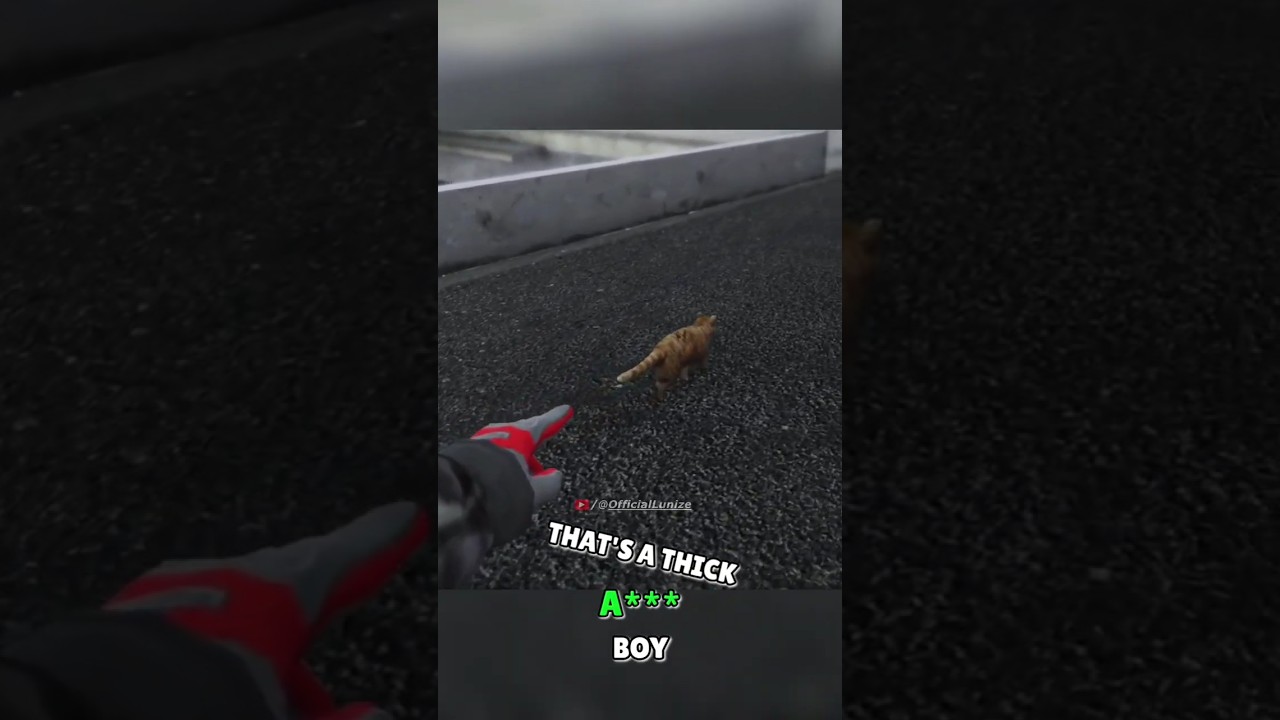 Finding Garfield 🐈 GTA 5 #Shorts