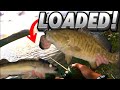 Camping and Catching Colorado