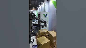Multiple-Form Boxes Depalletizing: Integrating 3D Vision and AI with TM AI Cobot #ai #tmrobot #rtj