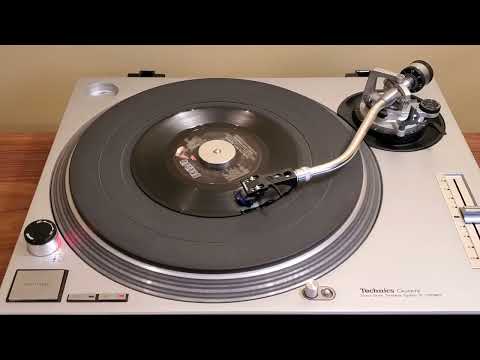 Vicki Sue Robinson "Turn The Beat Around" (1976) RCA Records