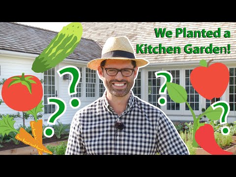 My Dream Kitchen Garden Reveal!