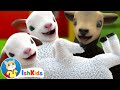 Baa baa black sheep  nursery rhymes  baby songs  ishkids baby songs  version 2