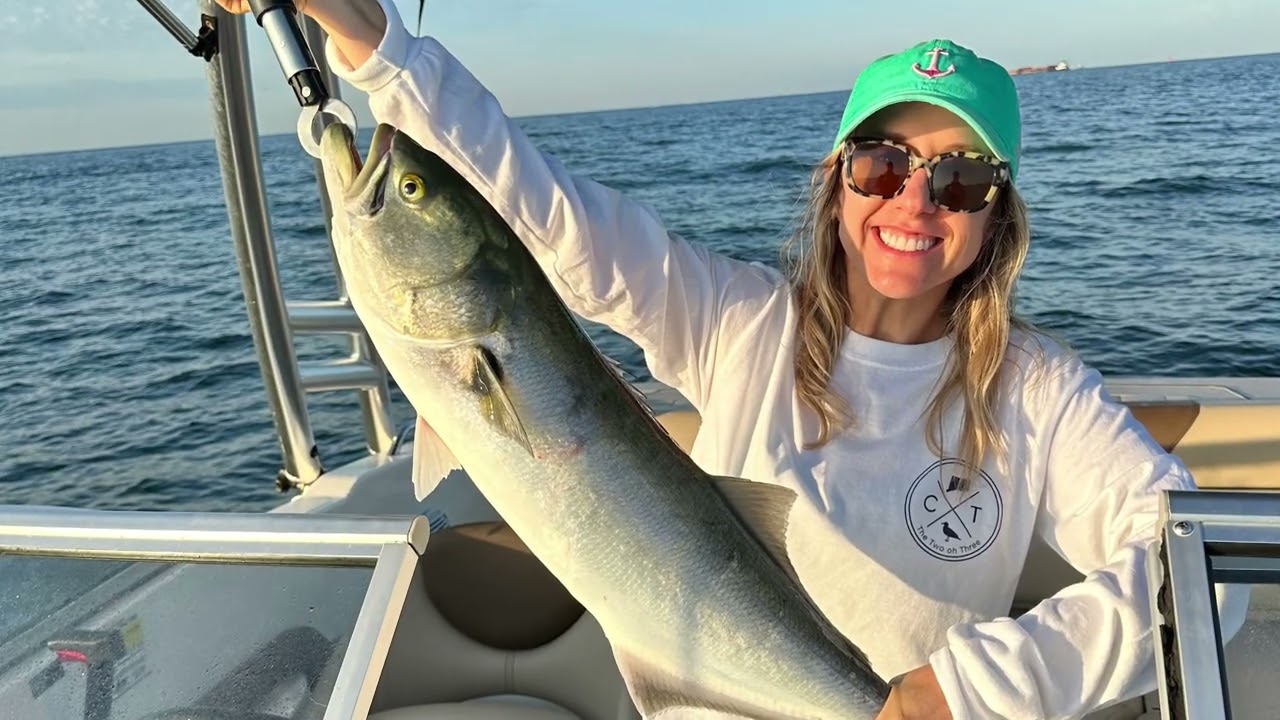 Catching Gator Bluefish in Bridgeport