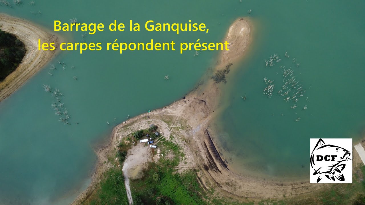 Pèche à la carpe Dream Carpfishing Barrage de la Ganguise