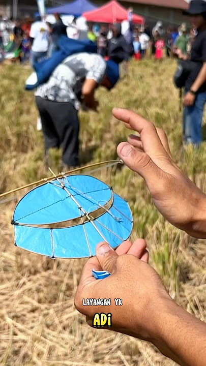 One-Span Mini Pegon Kite
