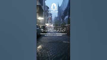 سورة الرعد - الايات 28-29  | علي جابر 💜  #قران_كريم  #قران
