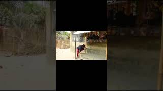 New Funny Videoindian Funny Videobest Funnyshorts