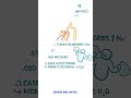 Renin-angiotensin-aldosterone system