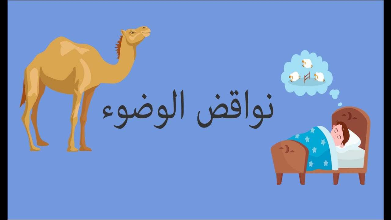 نواقض الوضوء