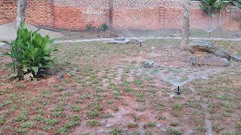 Thi công Đầu tưới cỏ popup USA dành cho cảnh quan sân vườn