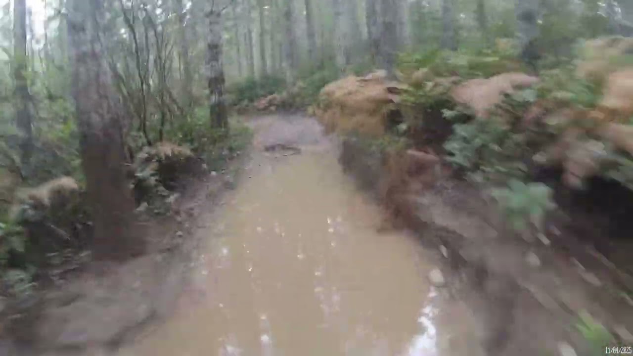 Current trail conditions at Tahuya State Forest