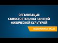 Организация самостоятельных занятий физической культурой