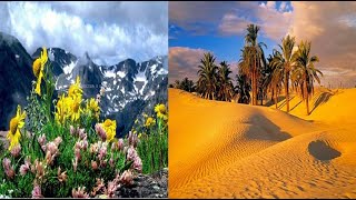 Tundra and desert climate