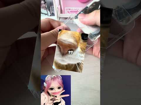 썰 신청 해주세욧 #추천추천추천추천추천추천추천추천추천추천 #구독부탁합니다 #관리자님잘생겼어요 #눌러주세용 #고양이크림 #아이브#뱅뱅#포장계