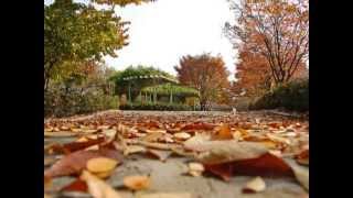 Autumn in My Heart ost.Endless Love Korean Drama chords