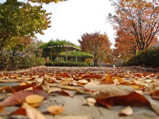 Autumn in My Heart ost.Endless Love Korean Drama class=