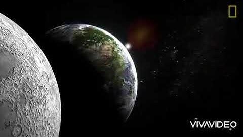 NSTP-CWTS 2: MODULE 3 Community Services