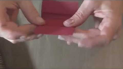 Tiny, Fully, Interactive, Mini, Album …Part 1