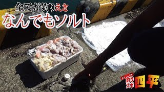 なんでもソルト(178話目)