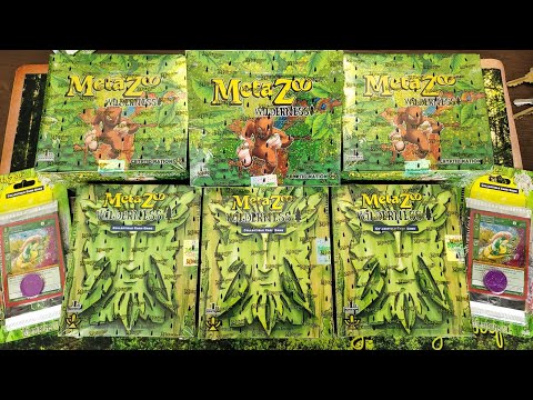 metazoo wilderness booster box Amazon.com: MetaZoo CCG: Wilderness: 1st Edition Booster Box