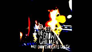 Juicy Fruit - Jared Mees and the Grown Children