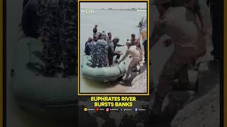 Devastating Euphrates Floods Leave Syrian Families Stranded | WION SHORTS